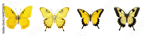 transparent background with yellow butterfly