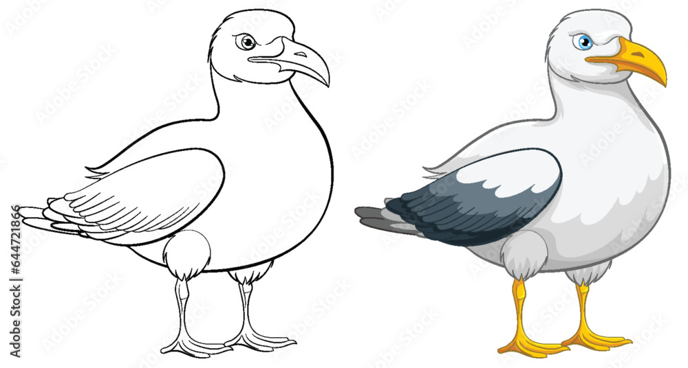 Fototapeta premium Seagull Bird Outline