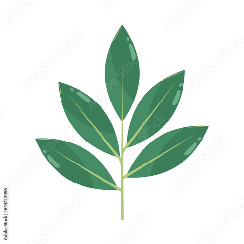 leaves on white background icon