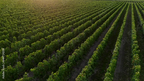 Aerial view of Pomerol wine making commune in Nouvelle Aquitaine France with vineyard fields, High quality 4k footage