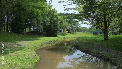 Wallpaper Mural low angle view of river in the open park Torontodigital.ca