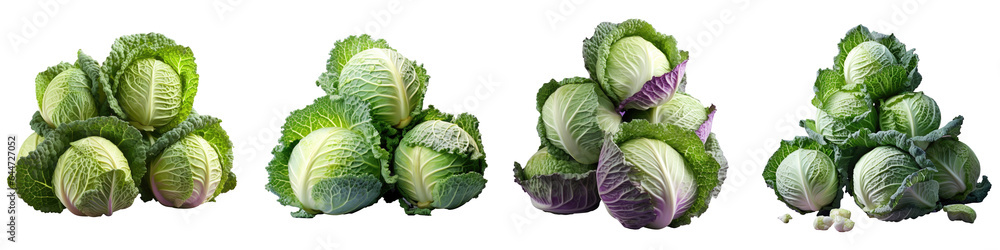 Obraz premium transparent background with cabbages