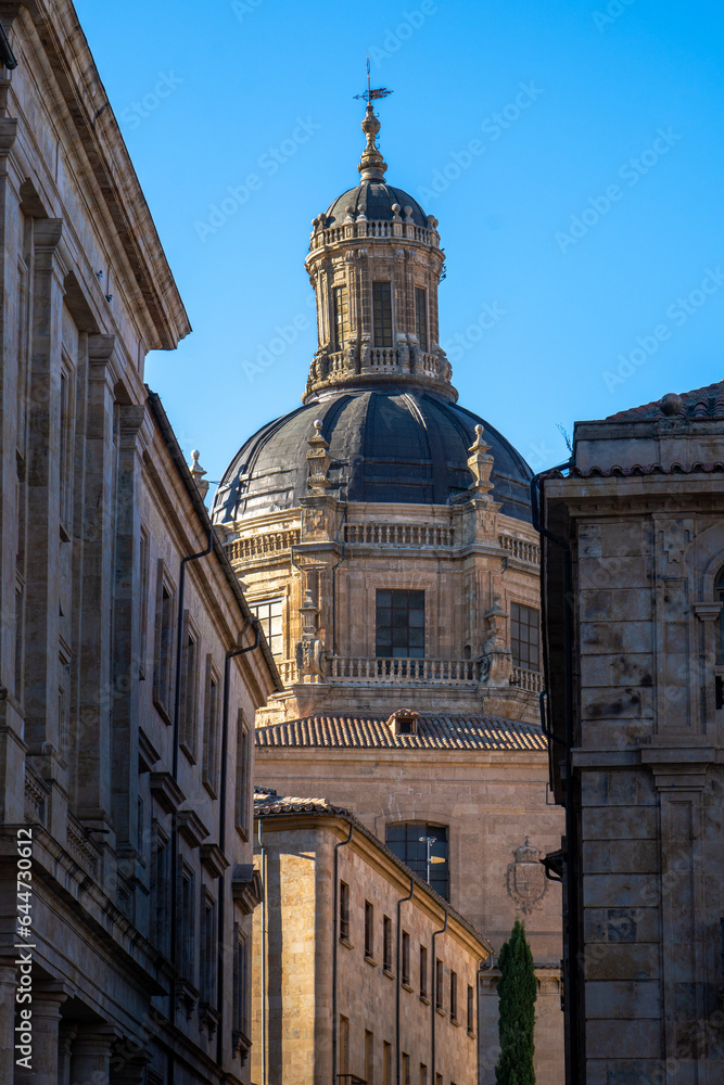 Romanesque domes of the clereatic tower of the old cathedral of Salamanca from the medieval street of the booksellers. Castilla y León, Spain.