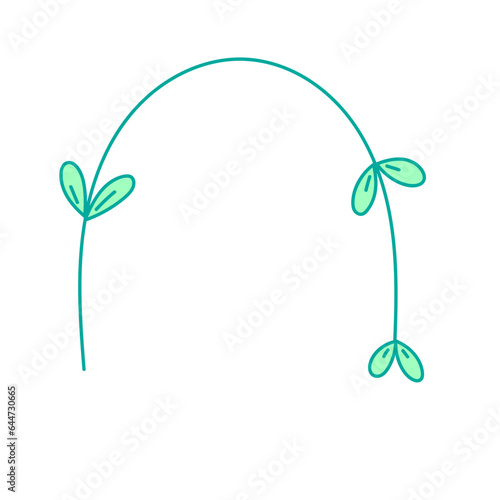 tiny plant liana hand drawn 