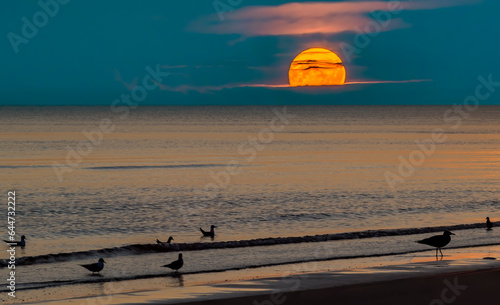 Rise of super-moon above water horizon of the Baltic beach and near a village...