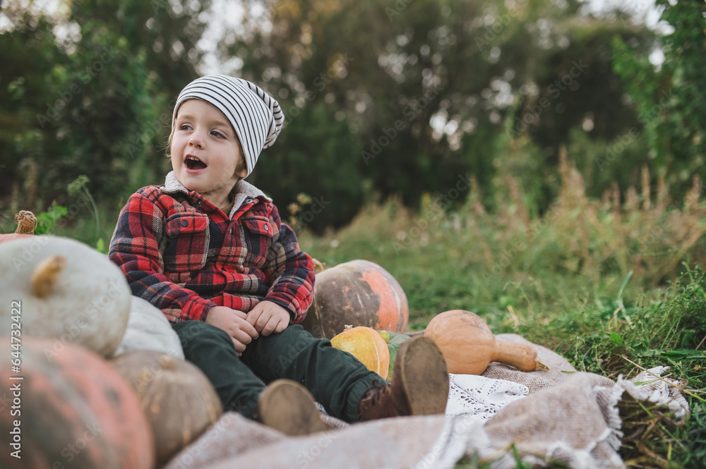 Little boy plays with organic pumpkins in the garden. Harvest in autumn. Halloween traditions and fun. Little boy plays with organic pumpkins in the garden. Harvest in autumn. Halloween traditions and fun.