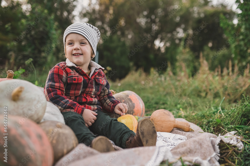 Little boy plays with organic pumpkins in the garden. Harvest in autumn. Halloween traditions and fun. Little boy plays with organic pumpkins in the garden. Harvest in autumn. Halloween traditions and fun.