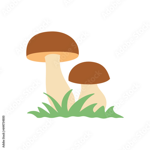 Two mushrooms in green grass, autumn vector illustration.