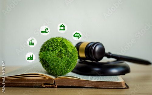 the green world is in the book There is a judging hammer behind it. The concept of global natural law and environmental judgment.