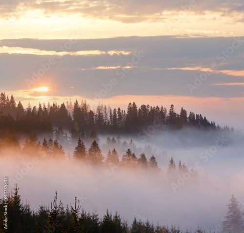 Morning fog on the slopes of the Carpathian Mountains  Ivano-Frankivsk oblast  Ukraine .