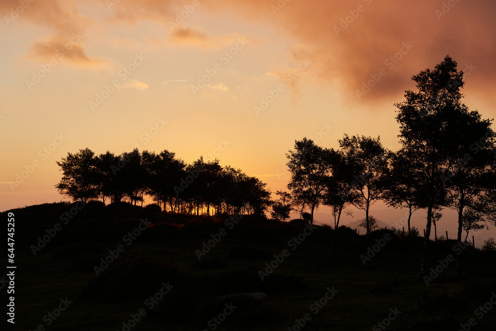 Beautiful landscape at twilight