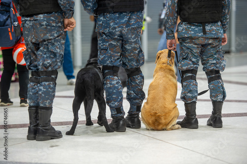 solder and k9 dog in the airport photo