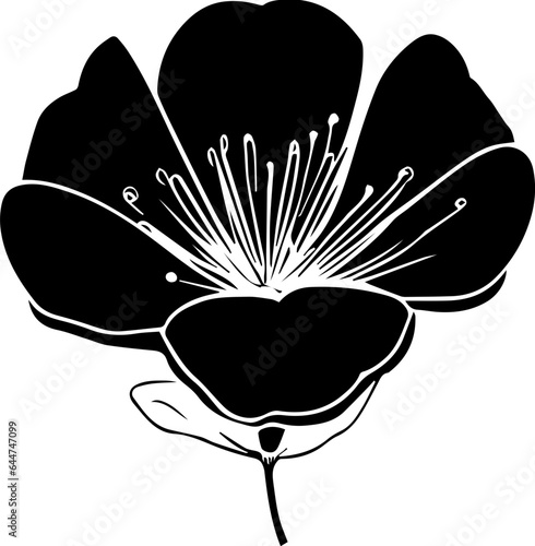 Cistaceae icon 1