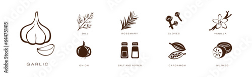 Spice and Herbs for Culinary and Cooking Vector Set