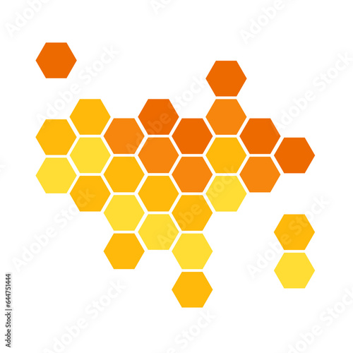 Honey bee hive hexagonal honeycombs flat vector illustration