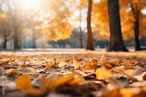 Autumn park landscape with colorful foliage. Falling leaves  natural background  bokeh