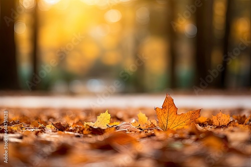 Autumn park landscape with colorful foliage. Falling leaves  natural background  bokeh