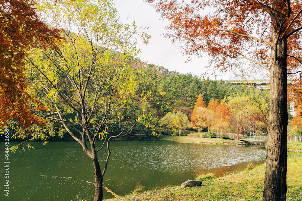 Gijang Yongso Well-being Park autumn scenery in Busan, Korea Gijang Yongso Well-being Park autumn scenery in Busan, Korea
