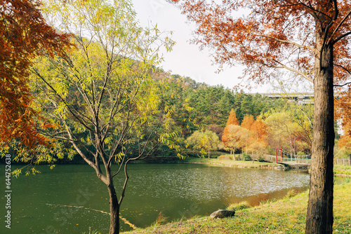 Gijang Yongso Well-being Park autumn scenery in Busan  Korea