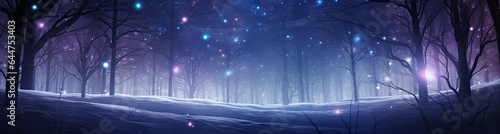 Winter themed banner with copy space for winter holidays like Christmas and New Year. © Moonlight Graphics