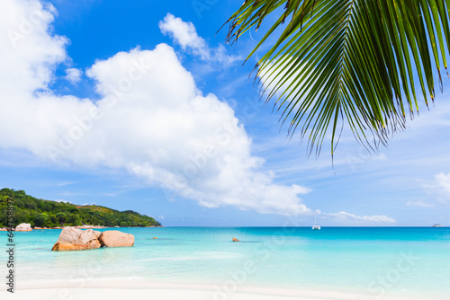 Fototapeta Naklejka Na Ścianę i Meble -  Palm tree branch and white beach sand under blue cloudy sky