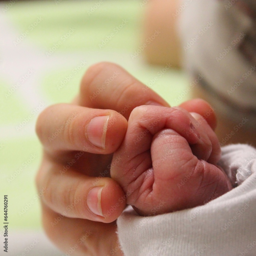 baby sister hands baby sister hands