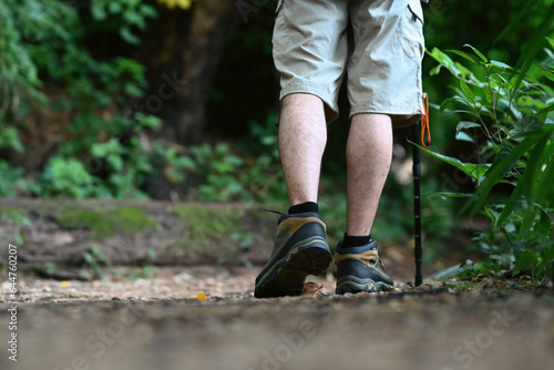 Male hiker with trekking sticks walking along the forest path. Traveling and adventure concept