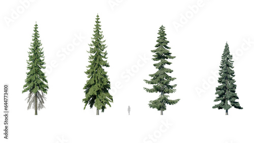 Set of pine trees isolated on a transparent background