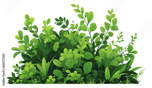 Illustration of garden green bush isolated.
