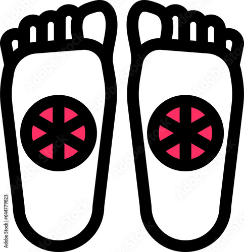 Footprints of Buddha Or Buddhapada Icon In White And Pink Color.