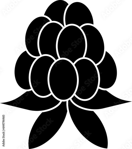 Cloudberry Icon In B&W Color.