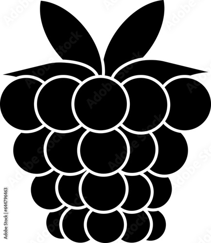Raspberry Icon In B&W Color.