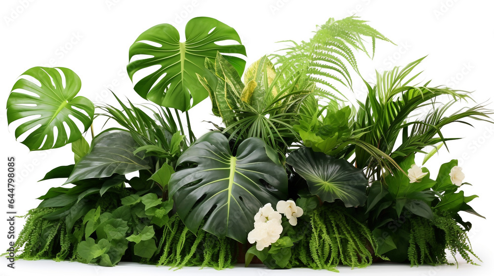 composition of tropical plants on a white background. Generative Ai