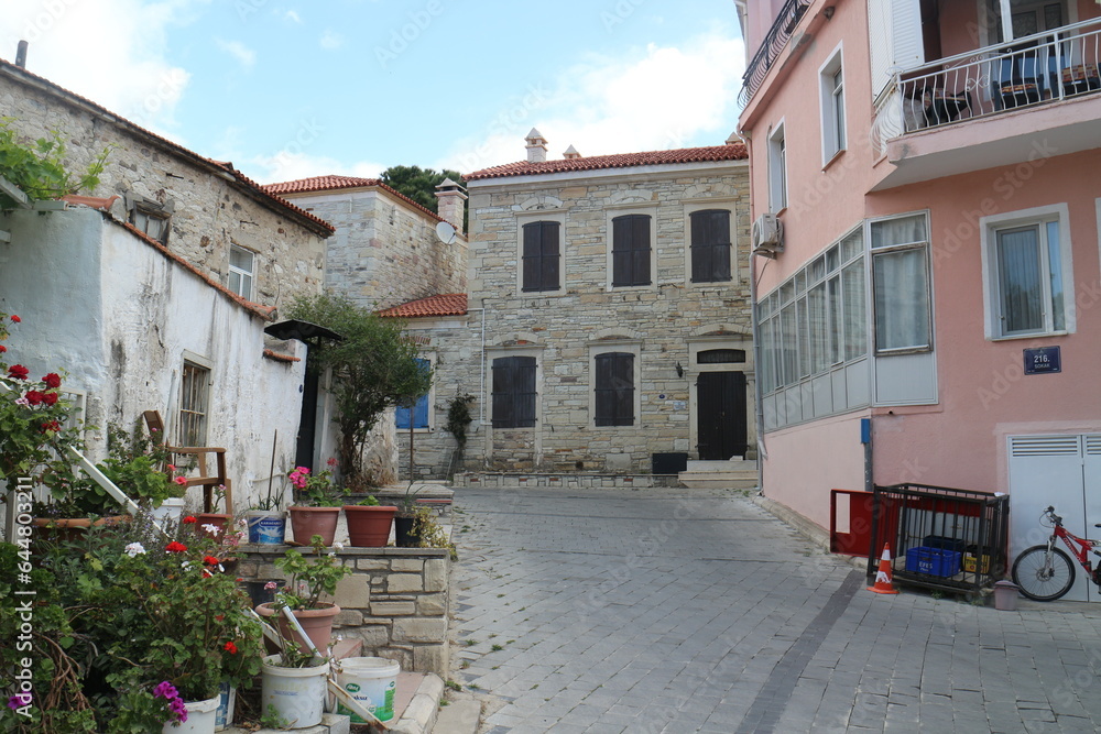 Obraz premium view