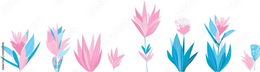Pink and blue pointy flowers, vector illustration