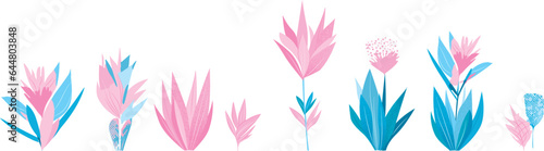Pink and blue pointy flowers, vector illustration