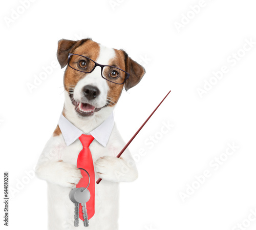 Jack russell terrier puppy wearing eyeglasses and tie bow and eyeglasses holds in his paw the keys to a new apartment and points away on empty space. Isolated on white background © Ermolaev Alexandr