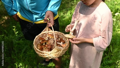 Father and daughter foraging for mushrooms