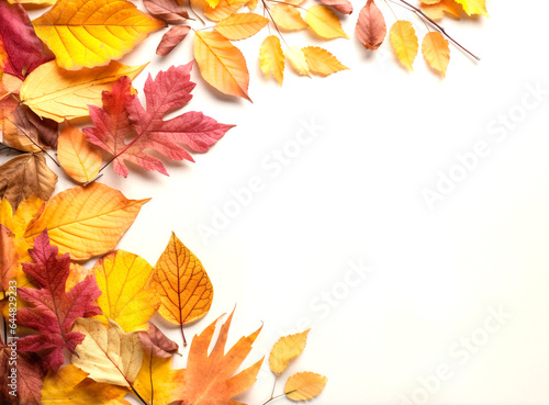 Infinite Autumn  Backgrounds for Endless Creativity