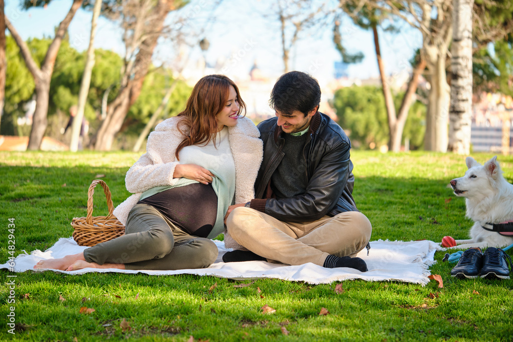 Man and pregnant woman looking at the belly on a picnic with their dog in a park. Family. Man and pregnant woman looking at the belly on a picnic with their dog in a park. Family.