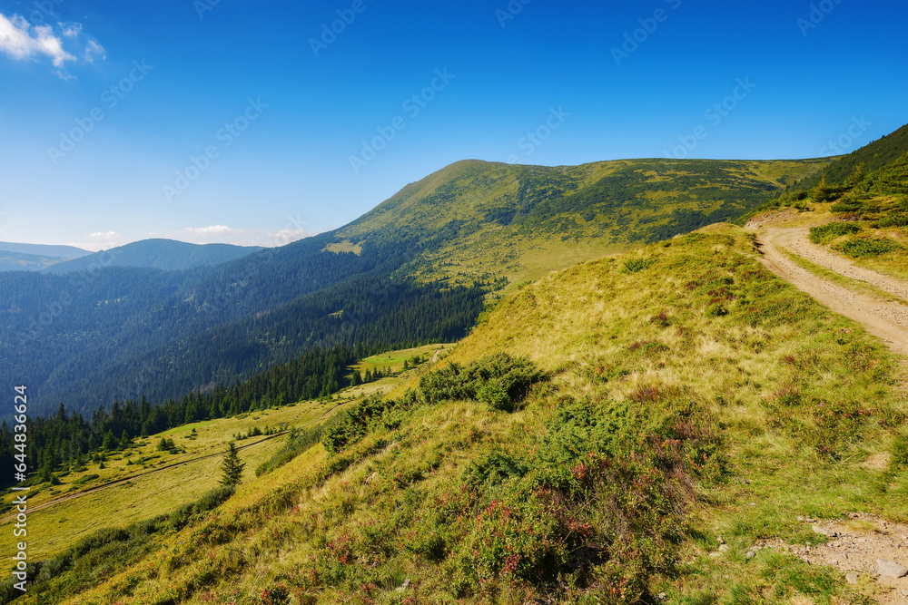 green mountain ridge in summer. steep forested slopes and grassy hillsides. country road uphill. bright sunny weather