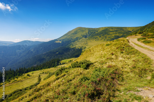 green mountain ridge in summer. steep forested slopes and grassy hillsides. country road uphill. bright sunny weather