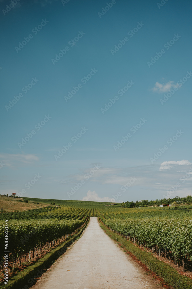 road in the countryside
