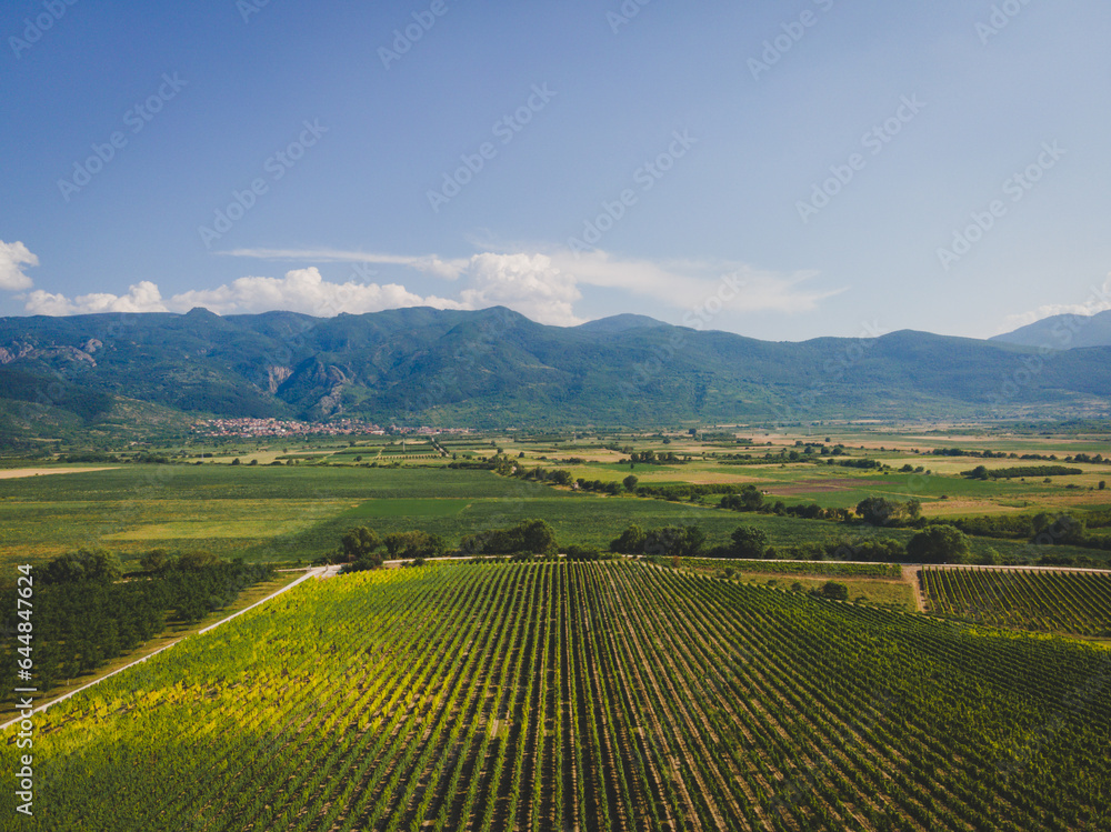 Fototapeta premium rice field in the mountains