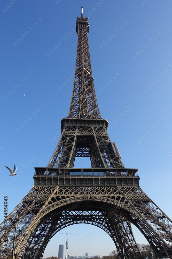 セーヌ川に架かるイエナ橋からエッフェル塔（パリ フランス）