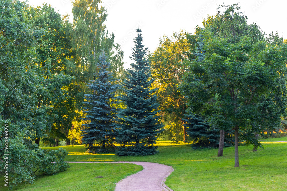 Obraz premium Landscape shot of the forest. Nature