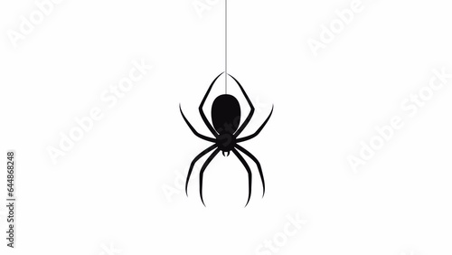 Spider descends on web. 2D animation video. motion graphics with alpha channel.