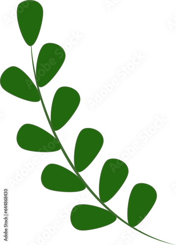 Isolated Green Leaves Branch Over White Background.