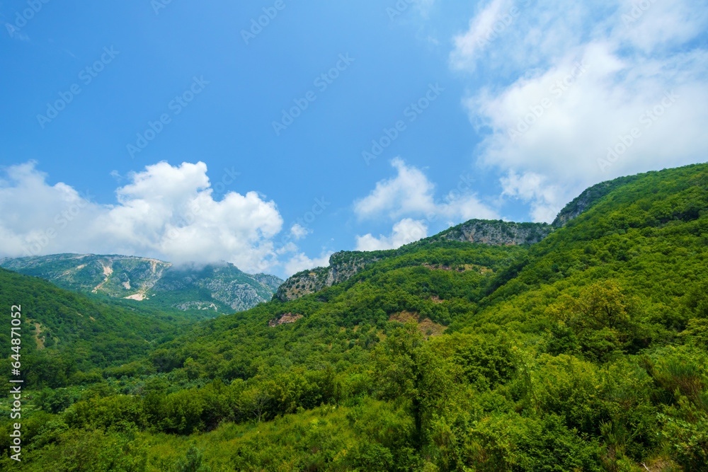 beautiful landscape in the mountains, sky with clouds, forest on the hillsides, summer nature