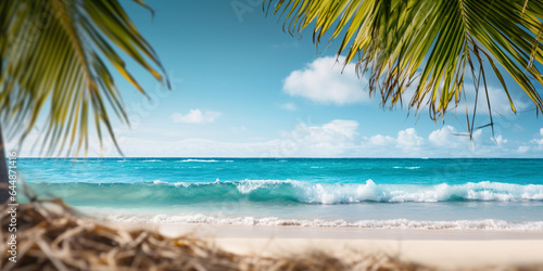 Tropical beach panorama view, coastline with palms, Caribbean sea in sunny day, Tropical seascape with Palm trees. Background of summer.